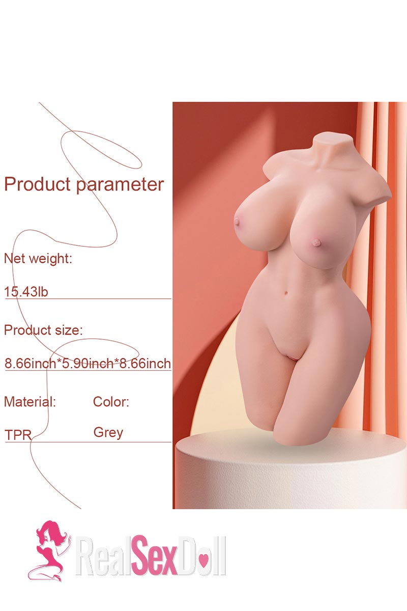 51CM 15.43LB Male Masturbator Sex Doll Torsos Rachel vista 4