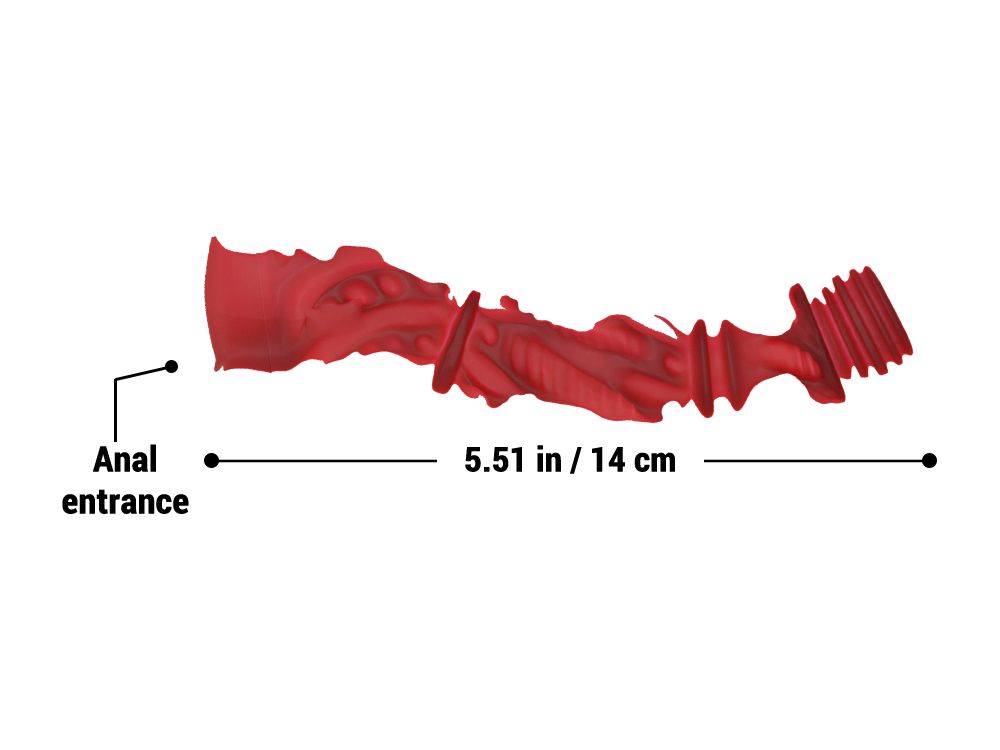 Chiusan: Furry Muscle Onahole Silicone Sex Toy 1.75kg(3.8 lbs) vista 4