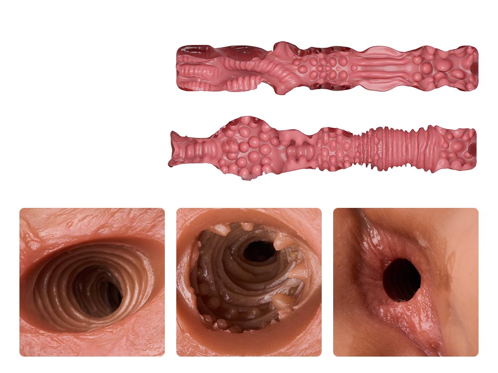 Beatus: Futa TPE Sex Torso with Two Penis, 4.1kg (9 lbs) vista 5